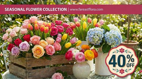 Seasonal Flower Collection